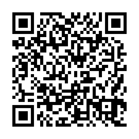 QR code for 4NP863