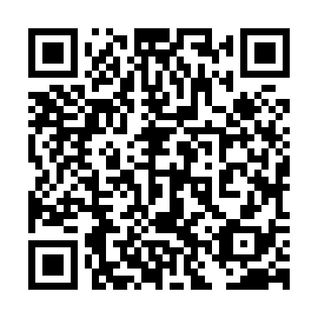 QR code for plate 4NZ 838