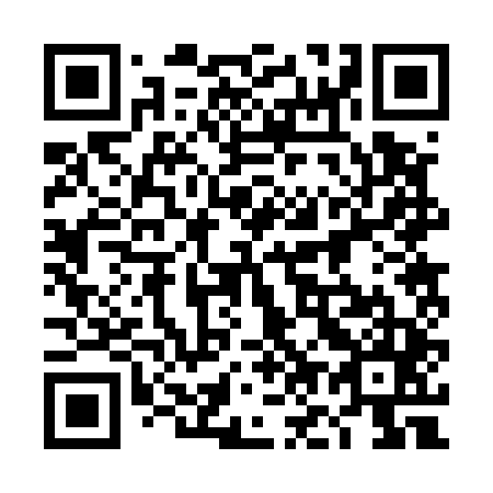 QR code for plate 4O2 545
