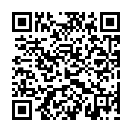 QR code for plate 4P0 965