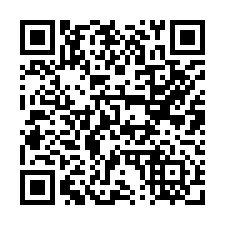 QR code for plate 4P2 952