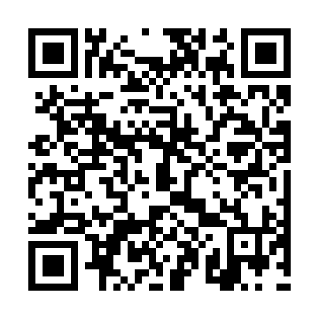 QR code for 4P6 294