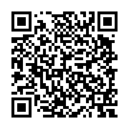 QR code for 4P8 491