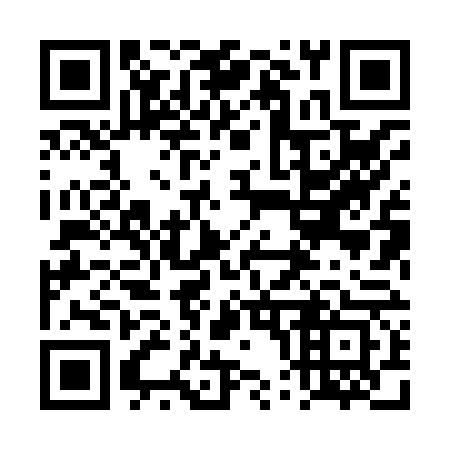 QR code for plate 4P8 863