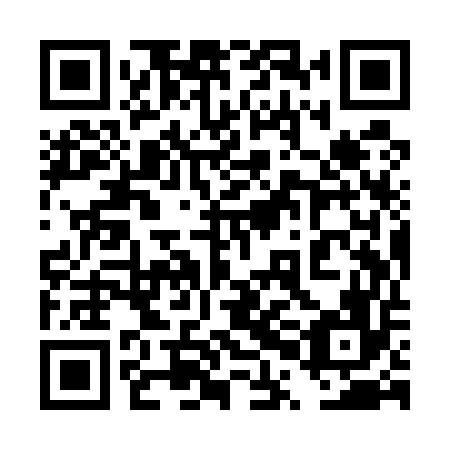 QR code for 4PI U56