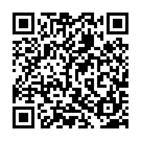 QR code for plate 4PL 294