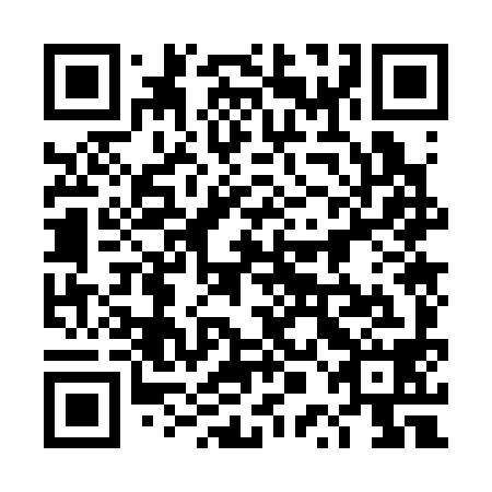 QR code for plate 4PO 398