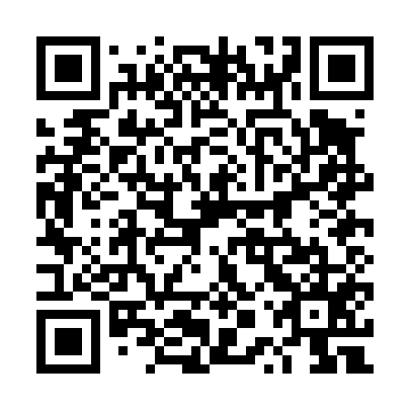 QR code for 4PPD55