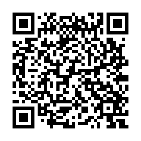 QR code for 4PS Q46