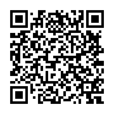 QR code for 4PS X10