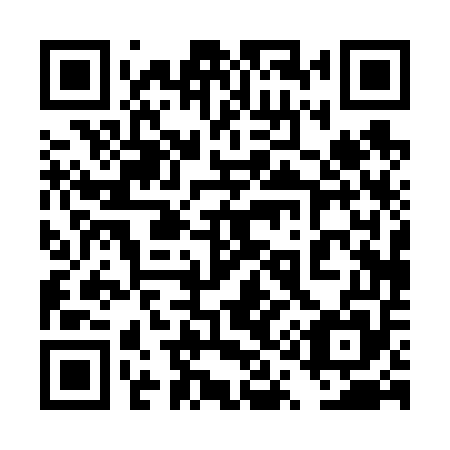 QR code for 4Q0655