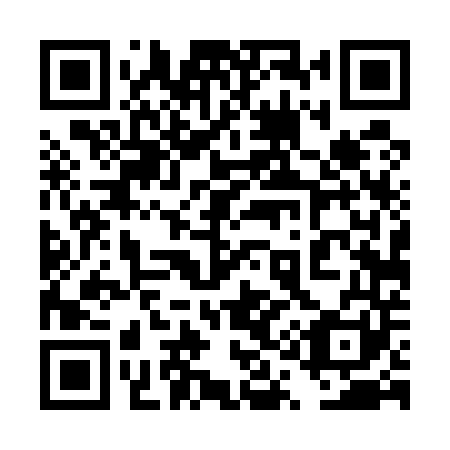 QR code for 4Q4 541