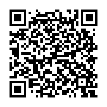 QR code for 4Q9 746