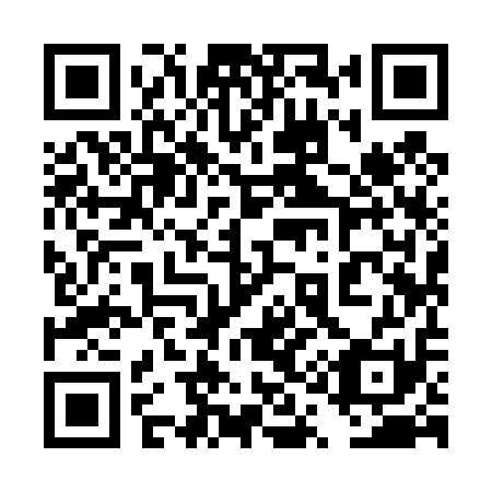 QR code for plate 4Q9 411