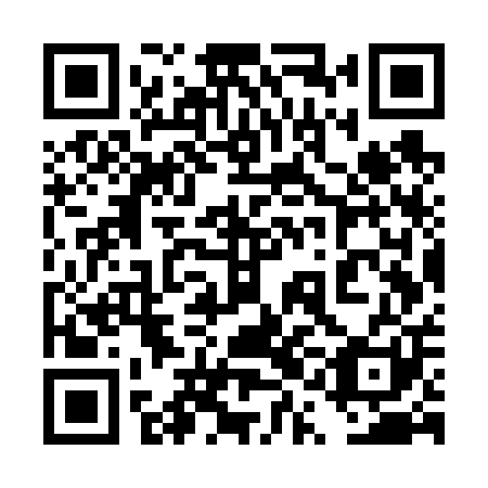 QR code for 4QG V01