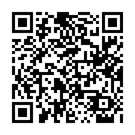 QR code for 4QT V49