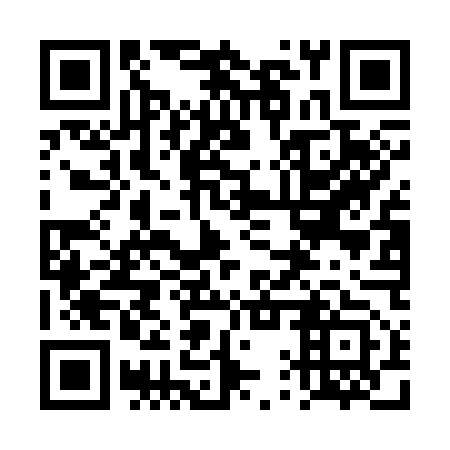 QR code for plate 4QT C53