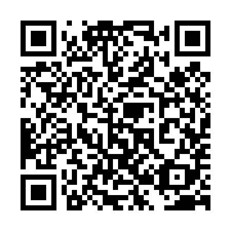 QR code for plate 4R3 489