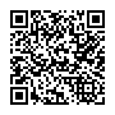 QR code for plate 4R9 399