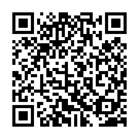 QR code for plate 4RU 499