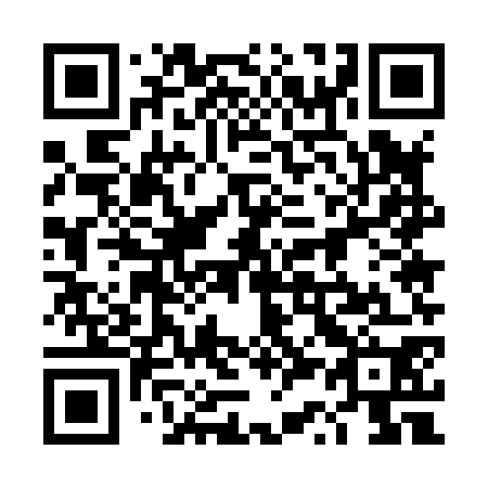 QR code for plate 4S5 870