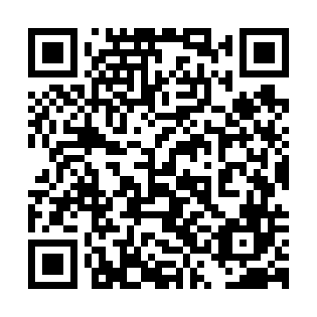 QR code for plate 4SO V46