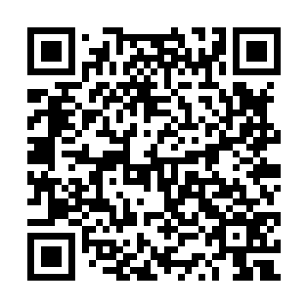 QR code for plate 4SO X76