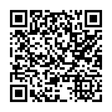 QR code for plate 4SX N63