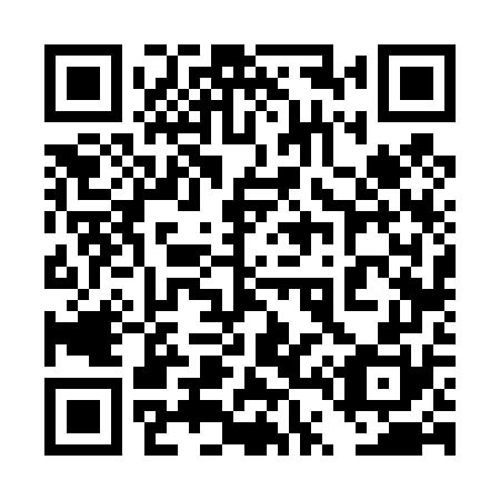 QR code for plate 4T6 470