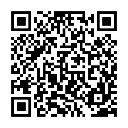 QR code for plate 4T9 096