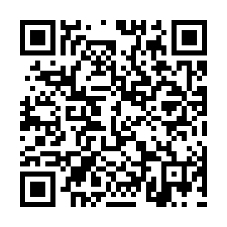 QR code for plate 4TL 384