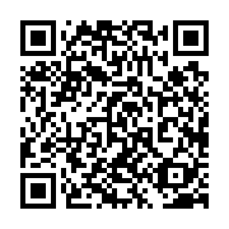 QR code for 4V0 729