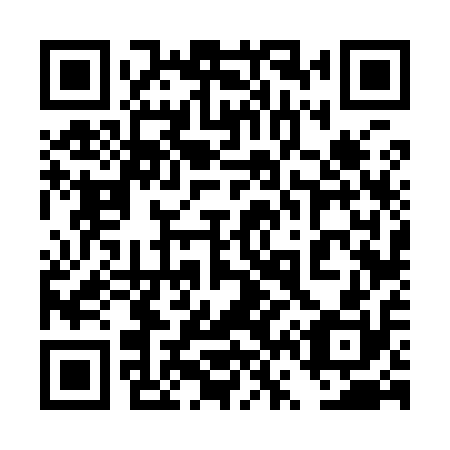 QR code for plate 4V6 910