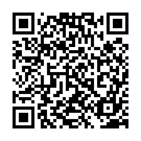 QR code for plate 4V7 577