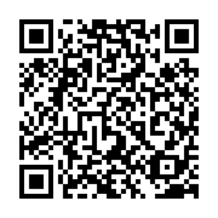 QR code for plate 4V9 218