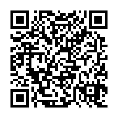 QR code for plate 4VF 335