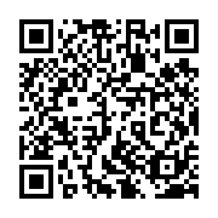 QR code for 4VM V11