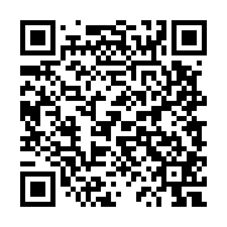 QR code for plate 4VT 501