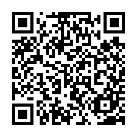 QR code for plate 4W3 607