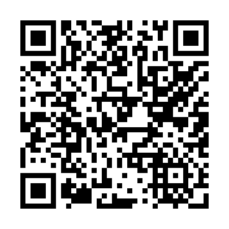 QR code for plate 4W5 816