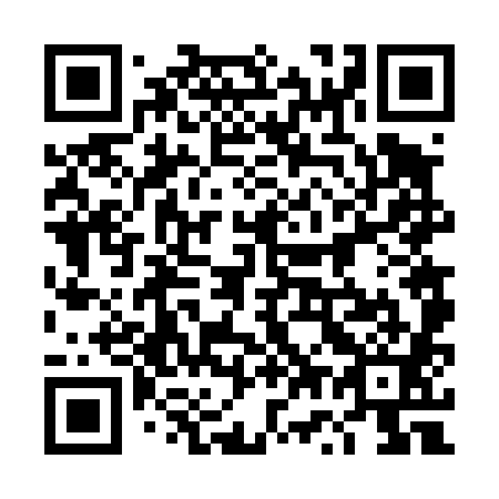 QR code for plate 4W6 481