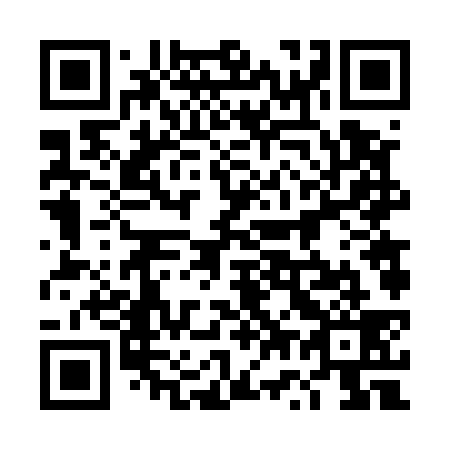 QR code for plate 4W6 539