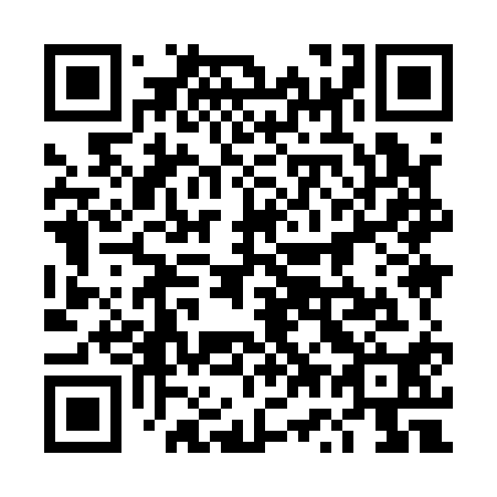 QR code for plate 4W9 110