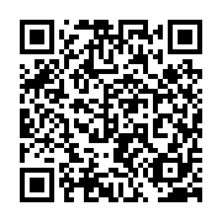 QR code for plate 4W9 210