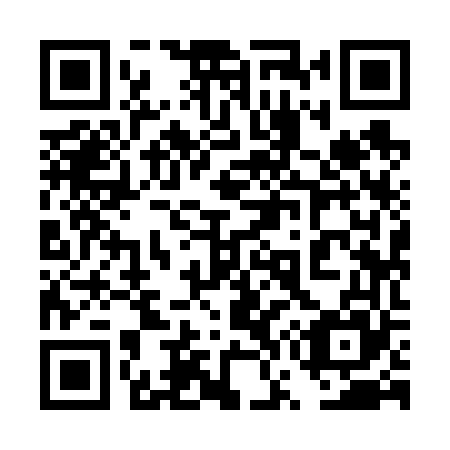 QR code for plate 4W9 665