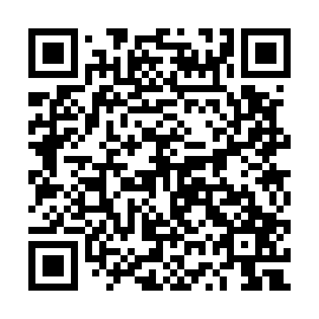 QR code for plate 4WS 507