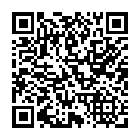 QR code for 4X0 919