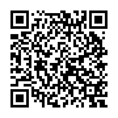 QR code for 4X1 250