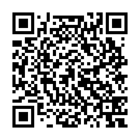 QR code for plate 4X1 339