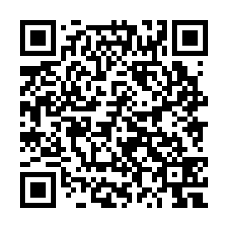 QR code for 4X8 339